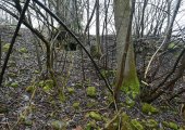 Stěničkův mlýn; Biela Mühle